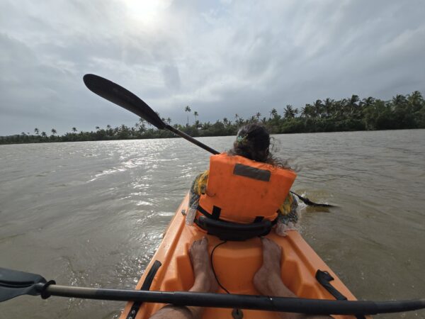 Backwater Kayaking - Image 4