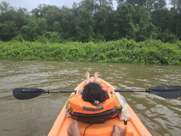 Backwater Kayaking - Image 7