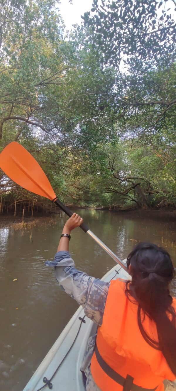 Backwater Kayaking - Image 3