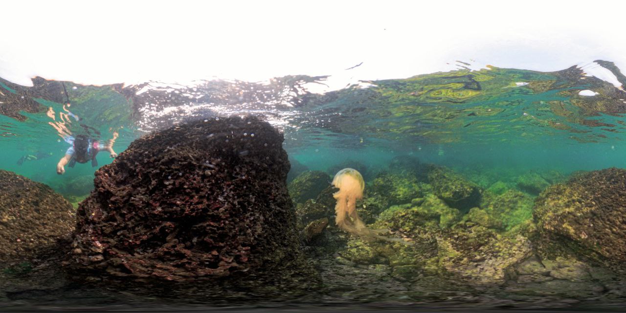 Snorkeling at Grande Island Goa
