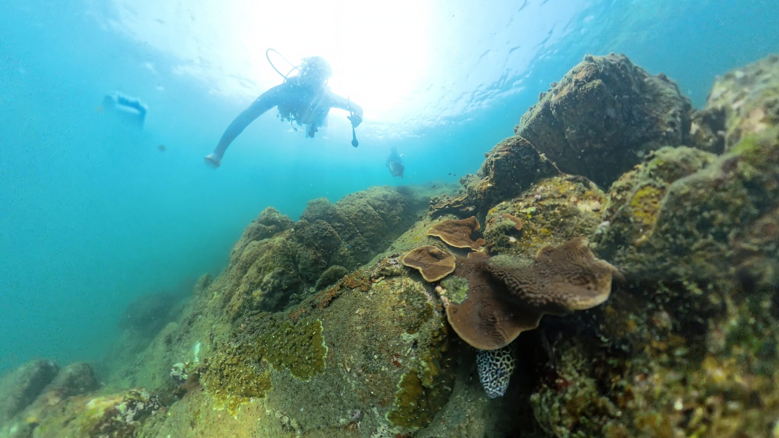 Scuba Diving in Goa: The Ultimate Guide Before You Book
