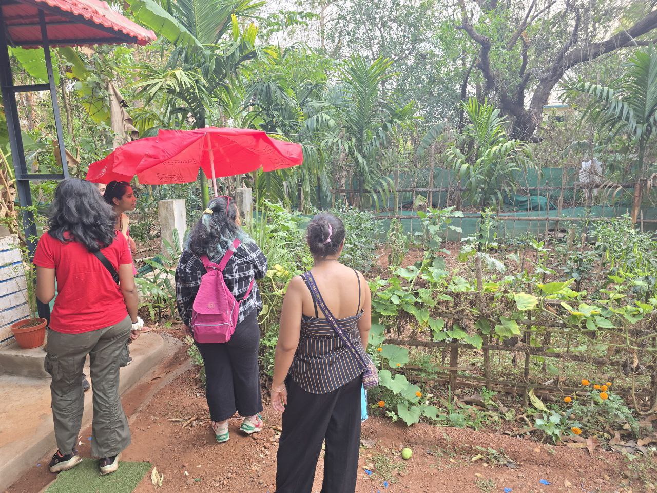Night nature trail in Goa