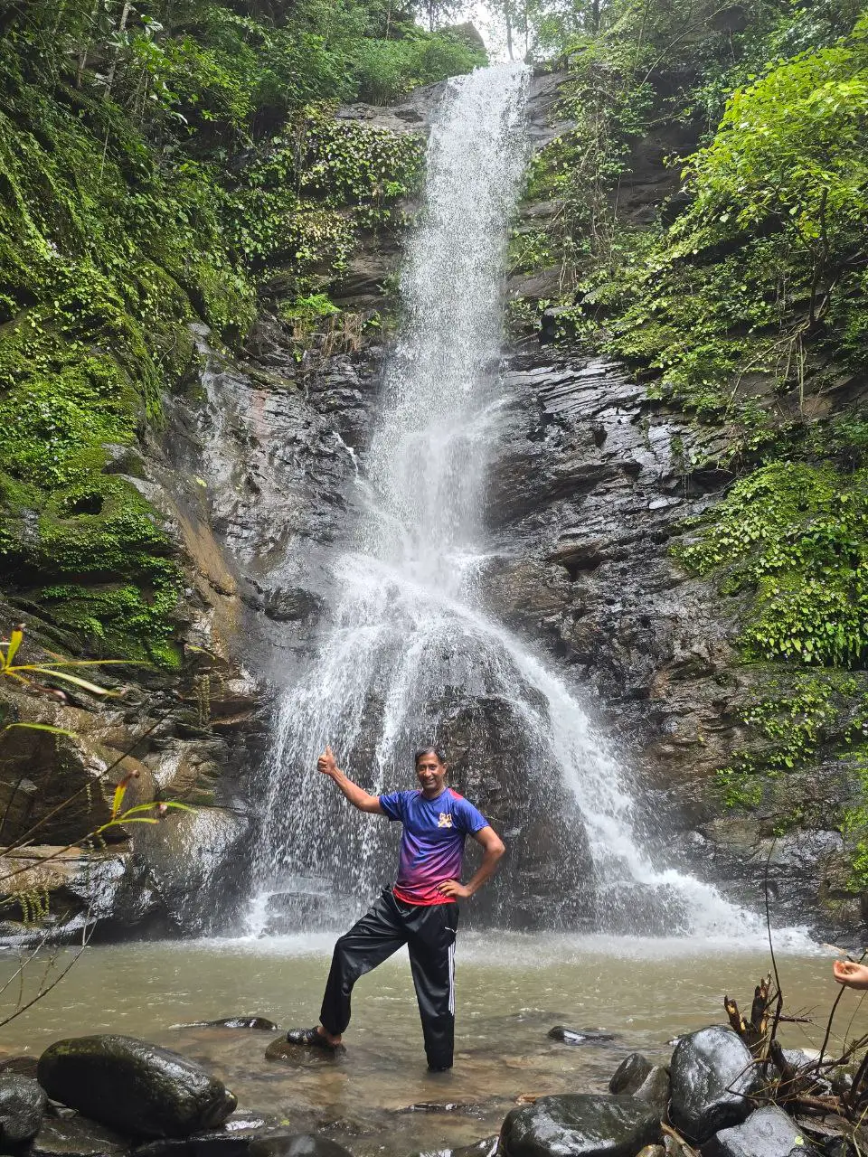 Forest hike in Goa