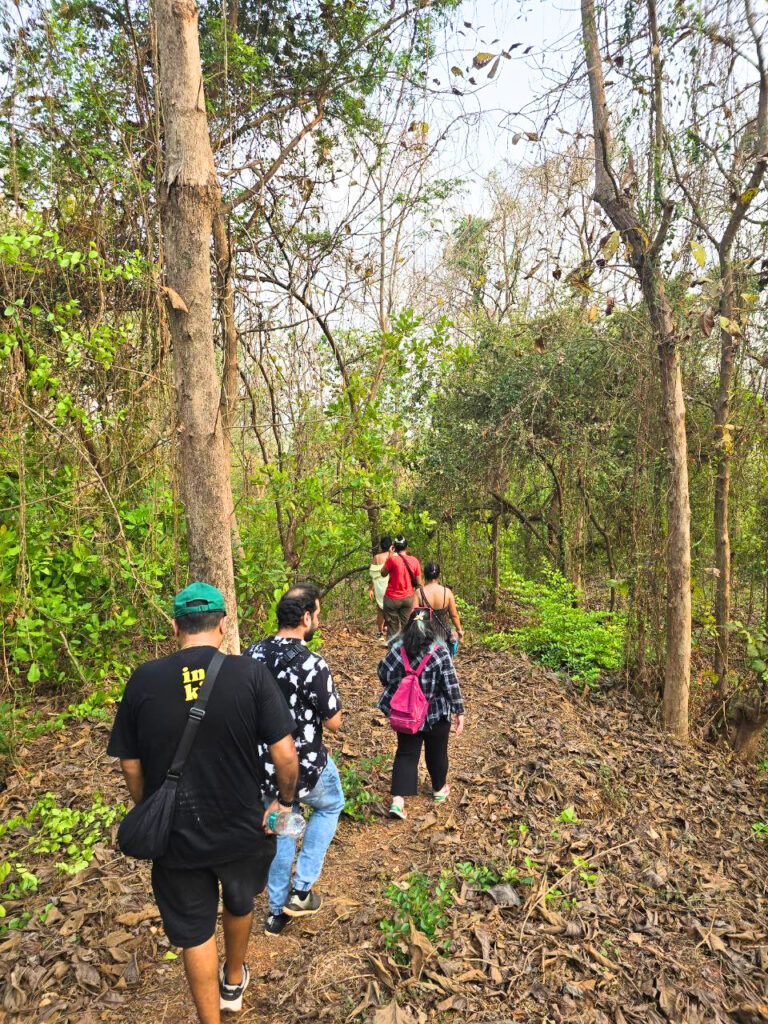 Chorao Nature Trail