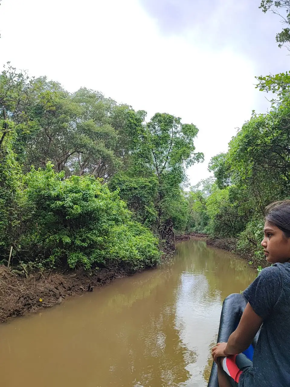 Bird spotting in Goa wetlands
