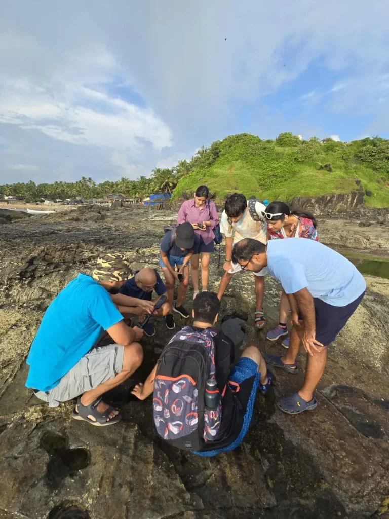 Tidepooling Goa