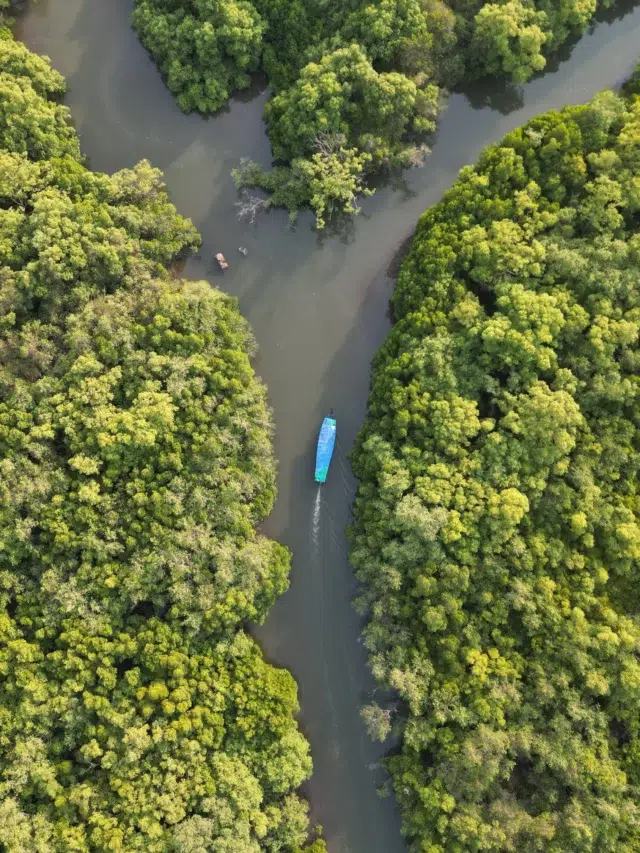 Best Nature & Wildlife Experiences in Goa (Beyond Beaches)
