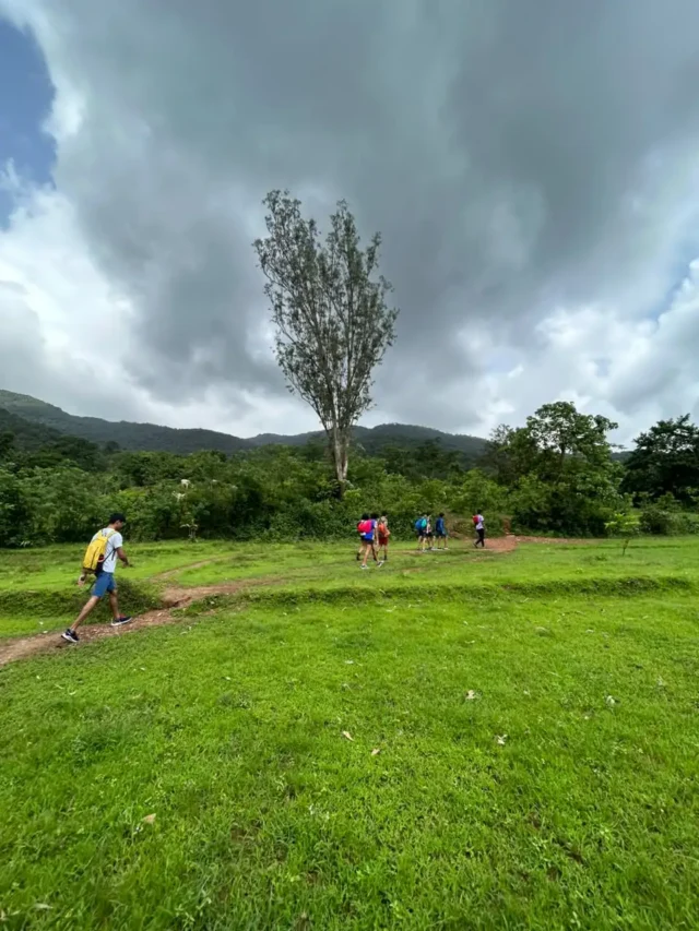 Is Goa Closed During the Monsoon? The Truth About Visiting Goa in the Rainy Season