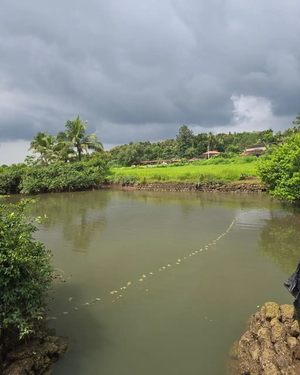 Lush Green Countryside and Offbeat Villages Goa - Top Goa Tours